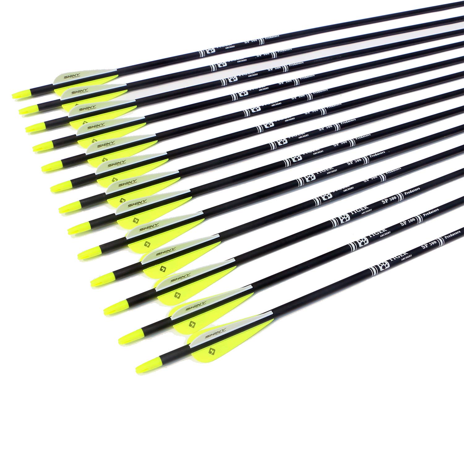 Tiger Archery packaged arrow set showcases quality packaging and ready-to-use practice arrows.