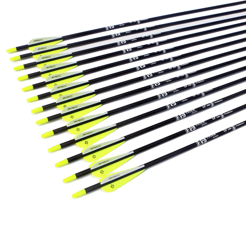 Tiger Archery packaged arrow set showcases quality packaging and ready-to-use practice arrows.