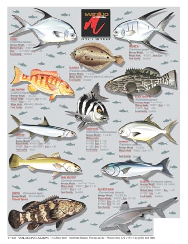 Tightlines Backcountry Flats Chart 10 double-sided layout aids quick species checks.