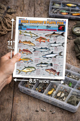 Tightlines Backcountry Flats Chart 10 salt-brackish water section for rapid identification.