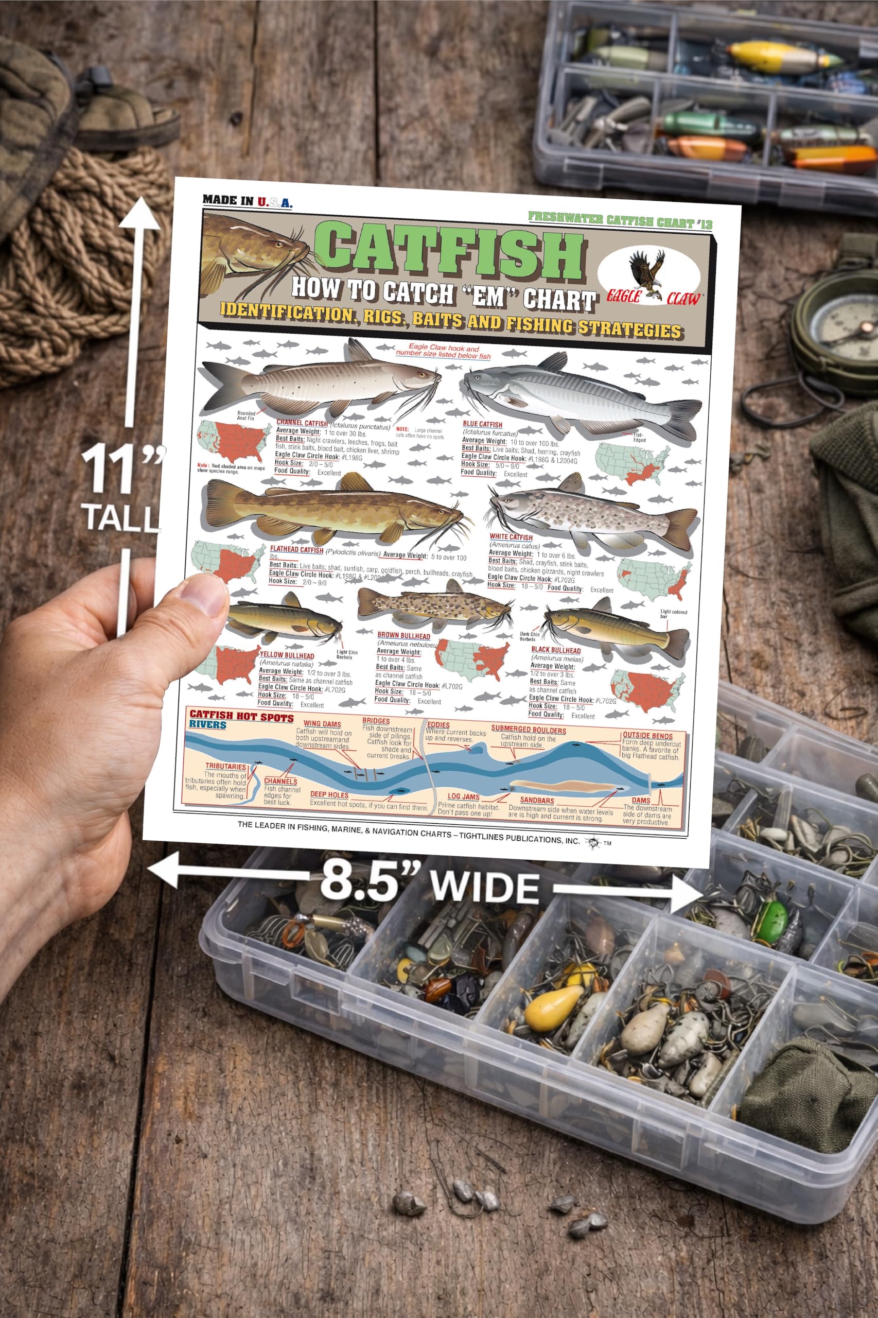 Tightlines Catfish Chart #13 rig diagrams help you learn quick, reliable knot and rig setups.