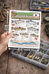 Tightlines Catfish Chart #13 rig diagrams help you learn quick, reliable knot and rig setups.