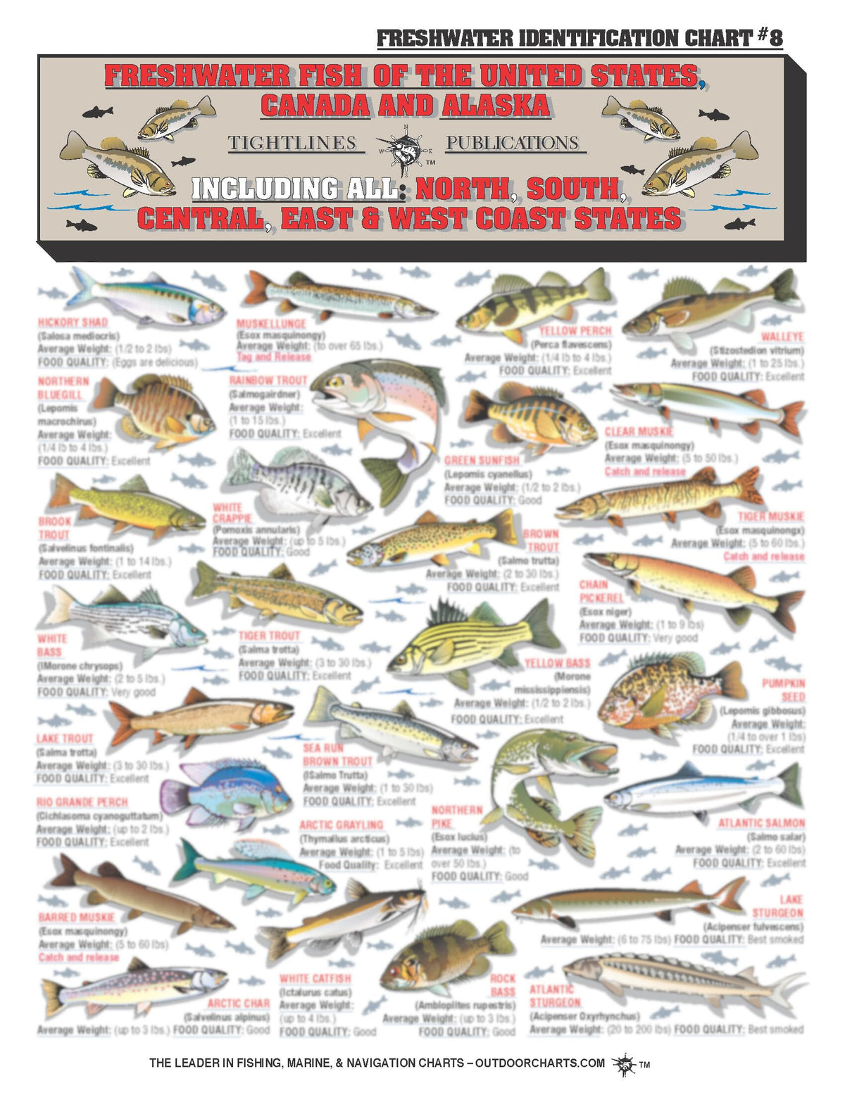 Tightlines Fishermans Freshwater Chart 8 cover with clear icons for quick field reference.