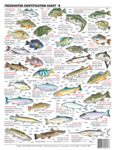 Tightlines Fishermans Freshwater Chart 8 map detail highlights common species patterns for identification.