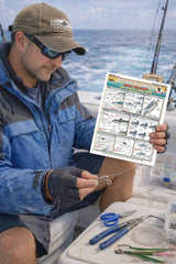 Tightlines Offshore Bait Rigging Billfish 4 durable assembly withstands salt spray and pressure.