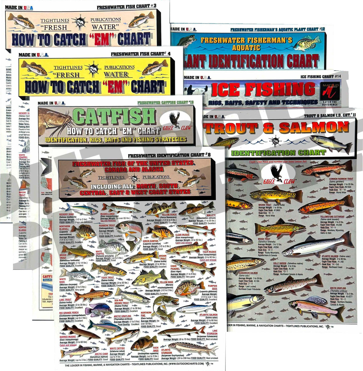 Front cover of Tightlines Publications freshwater fish identification set