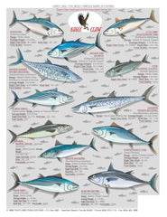 Tightlines Saltwater Chart 9 inside — easy first-hand ID guide at sea.