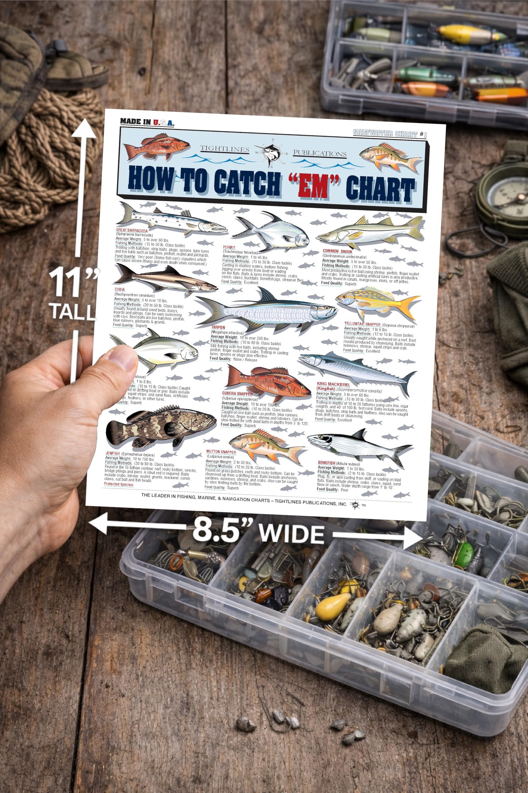 Tightlines chart featuring size, weight, and location data for accurate species checks