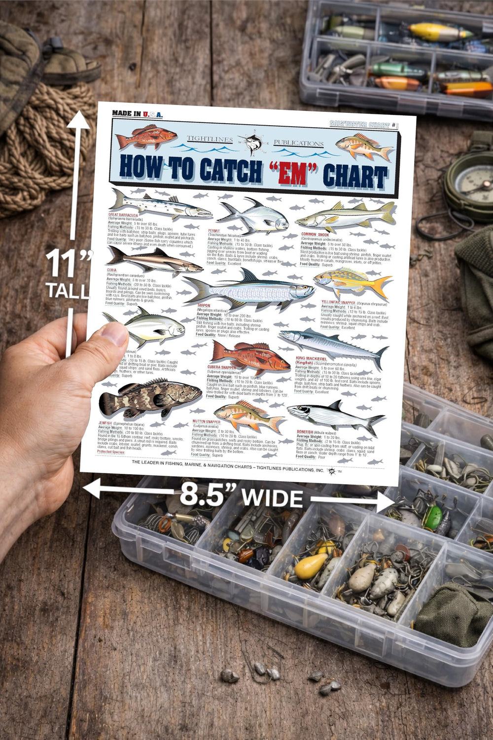 Tightlines chart featuring size, weight, and location data for accurate species checks
