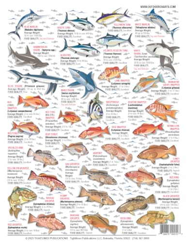 Tightlines chart illustrations guide anglers to identify species accurately