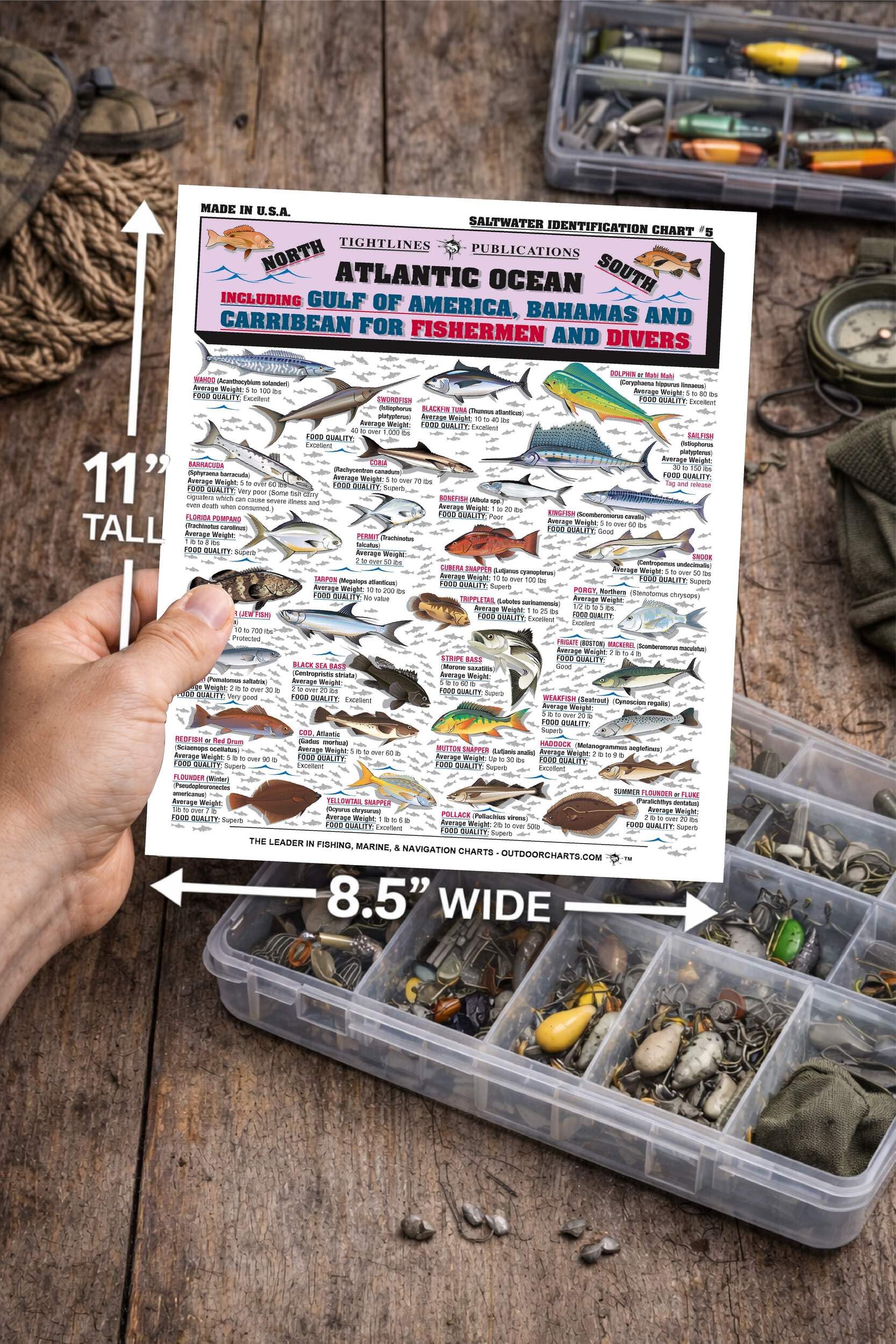Tightlines chart displays size and weight details for field use