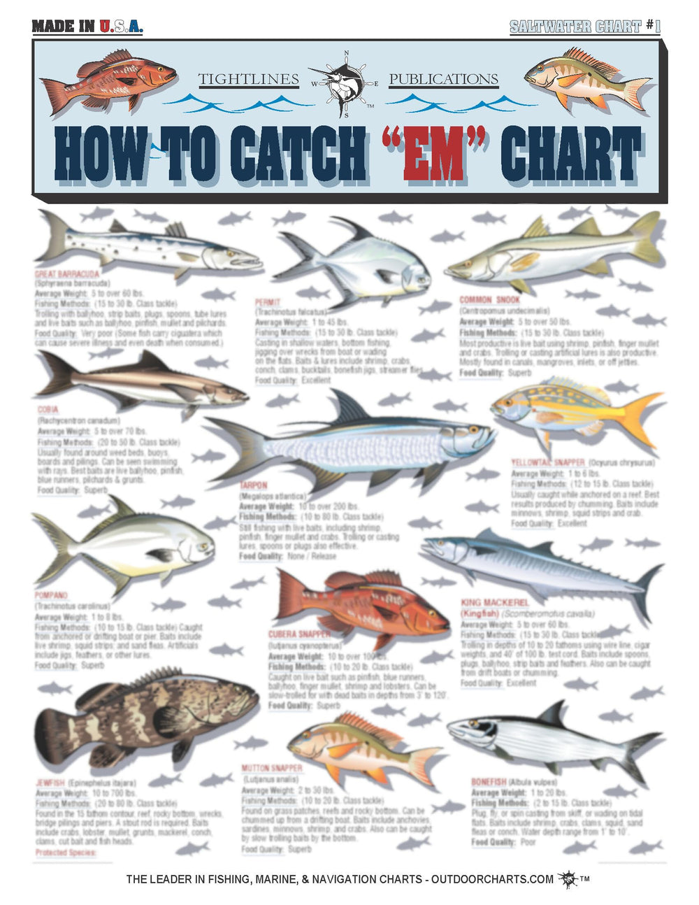 Tightlines Saltwater Fish Identification Chart front cover, durable waterproof reference for on‑the‑water ID