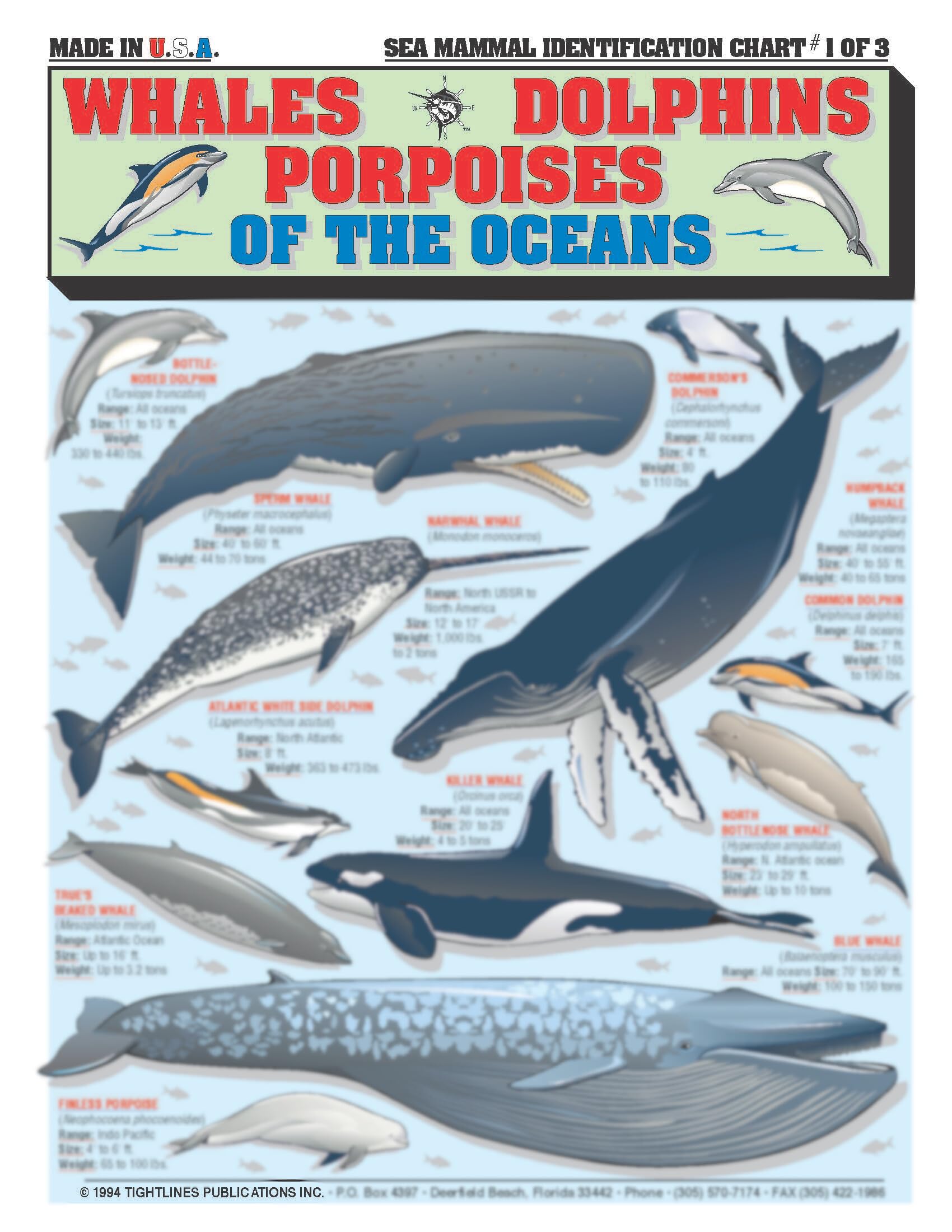 Tightlines Sea Mammal Identification quick reference illustrations support reliable field identification