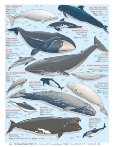Tightlines Sea Mammal Identification rugged waterproof design withstands harsh ocean conditions