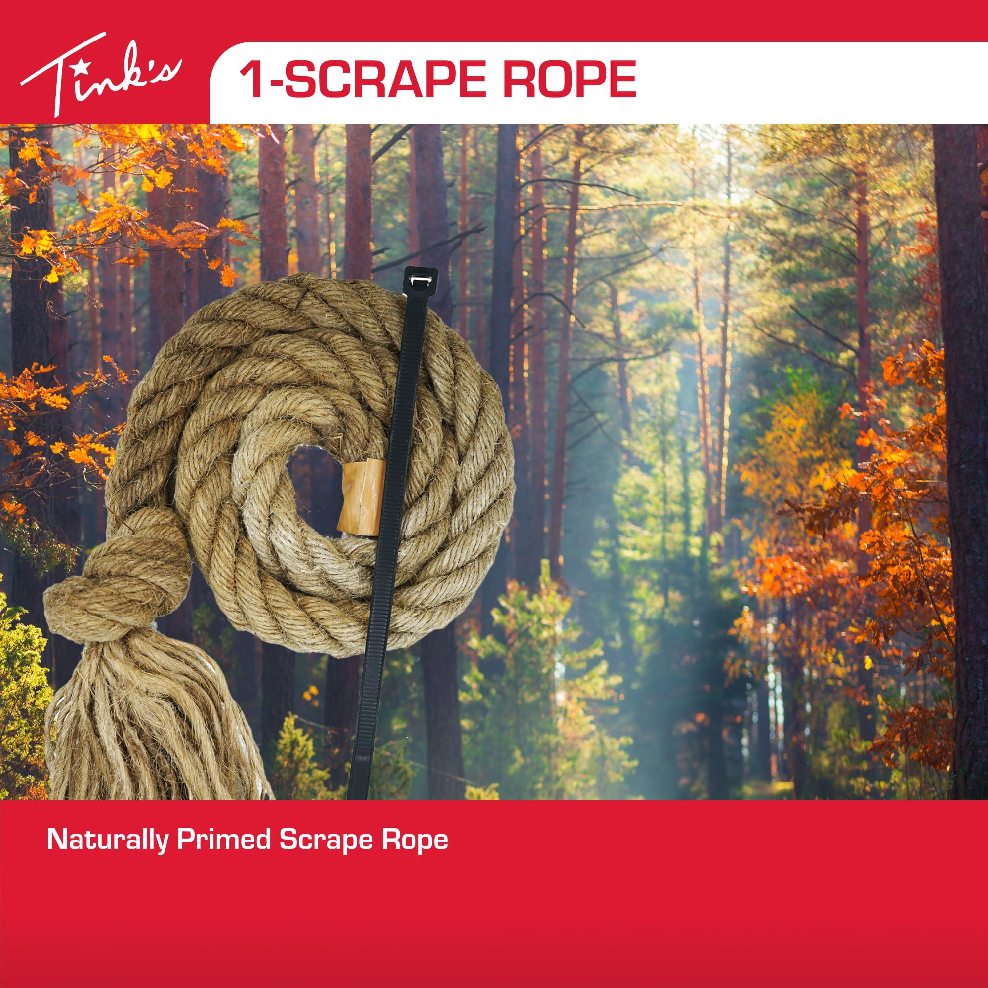 Full-length rope stretched in forest setting during field use