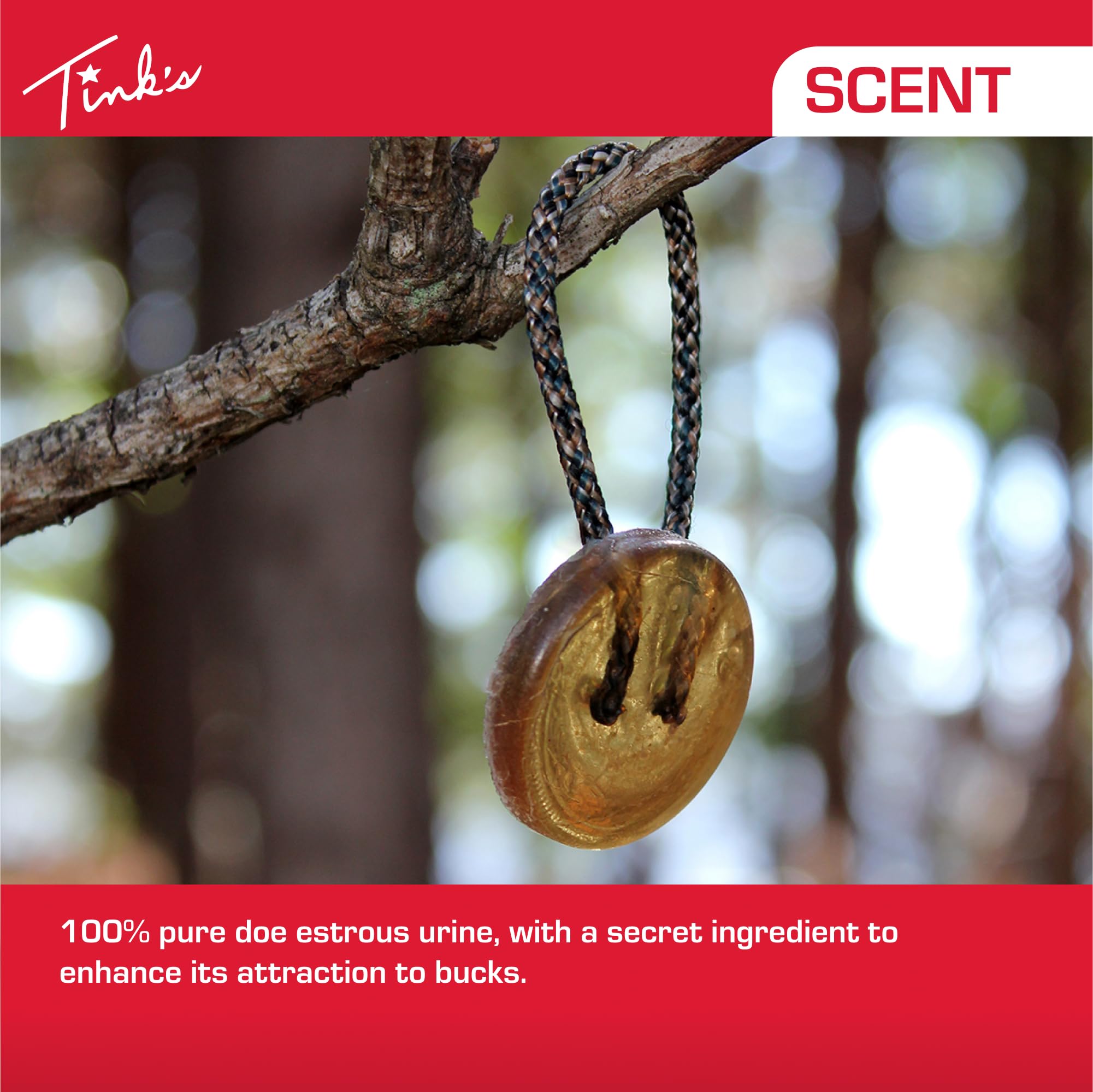 Tink's Buck Pucks hanging on a branch show field setup.