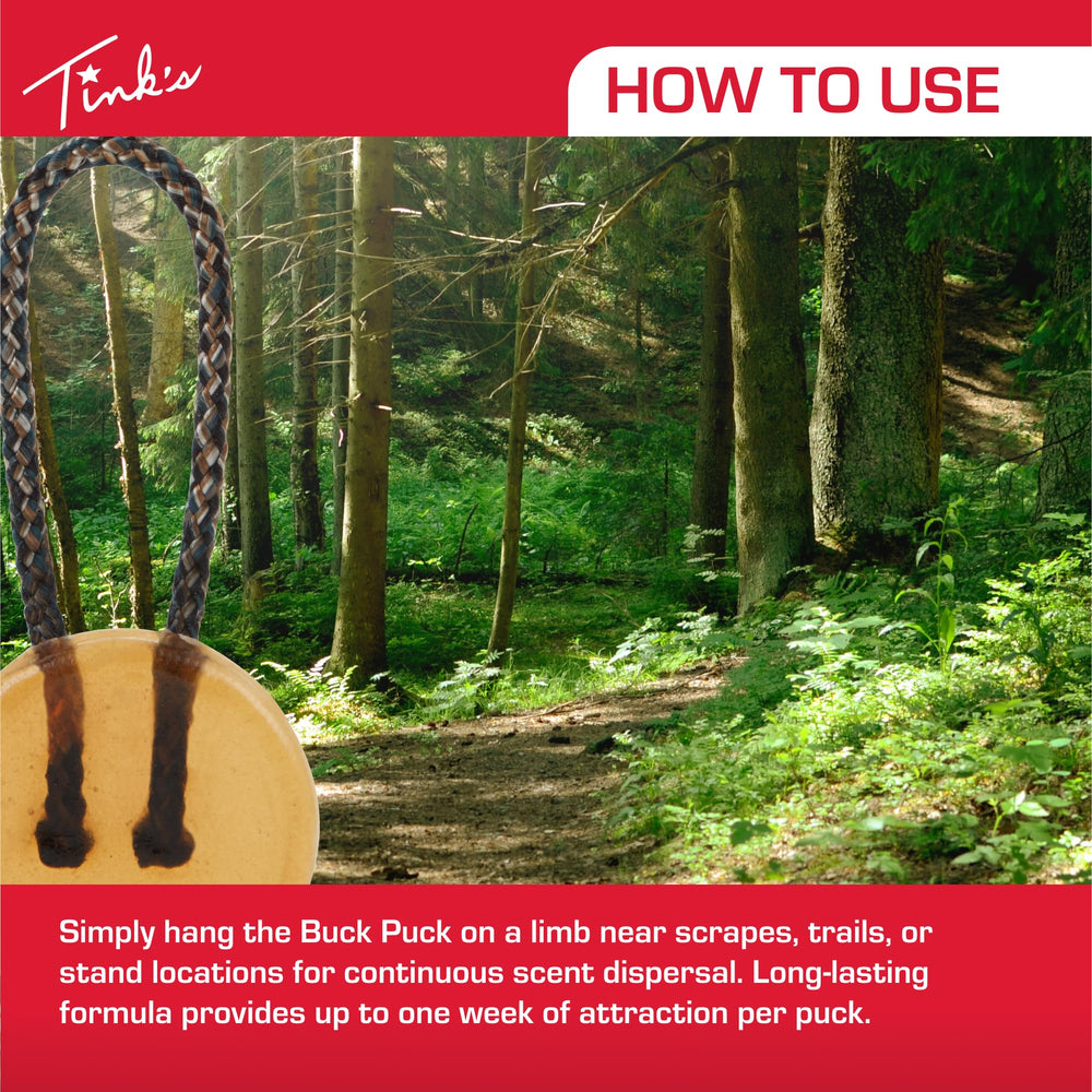 Tink's Doe-in-Rut trails and scrapes for continuous scent coverage.