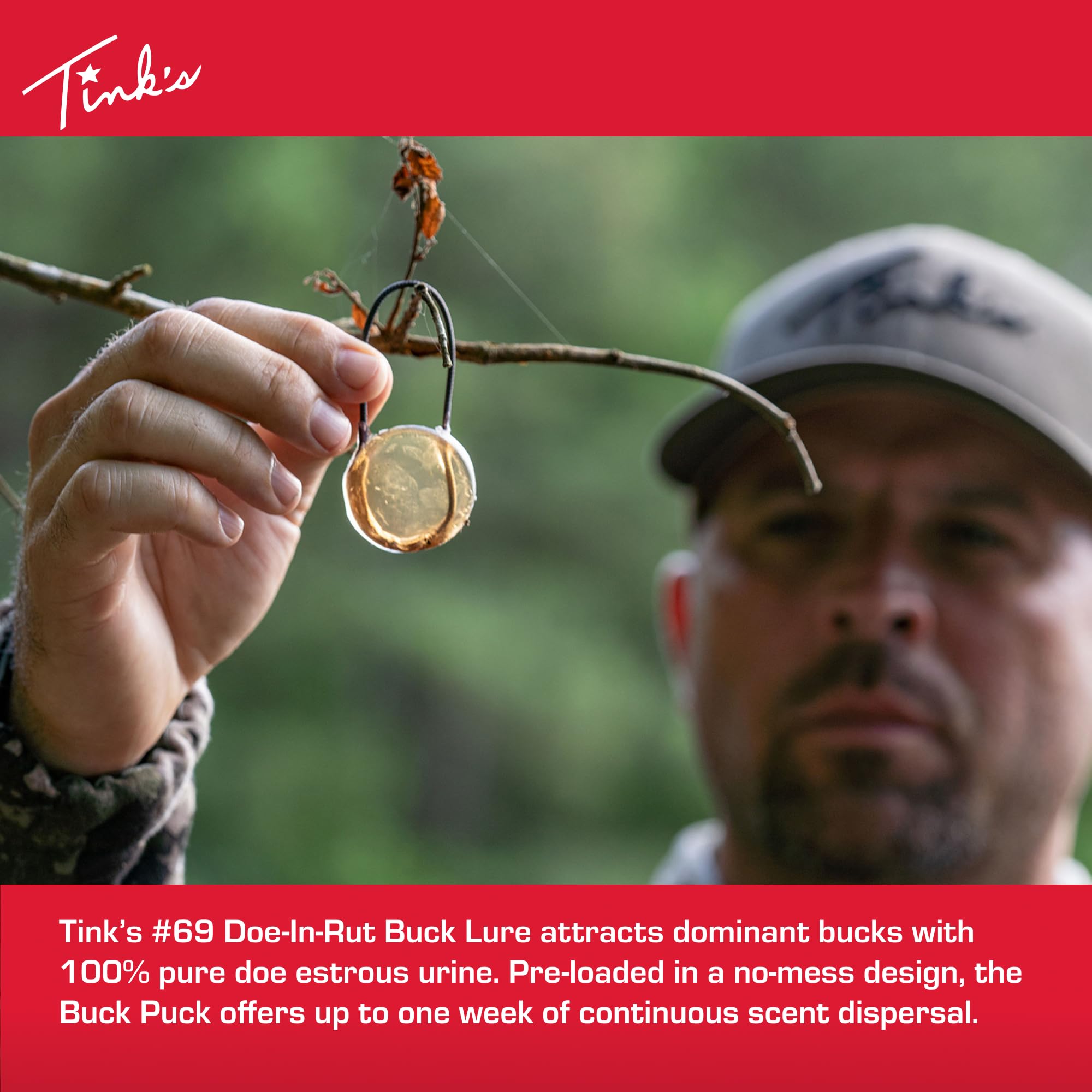 Tink's estrous doe urine bottle highlighting potent scent for bucks.