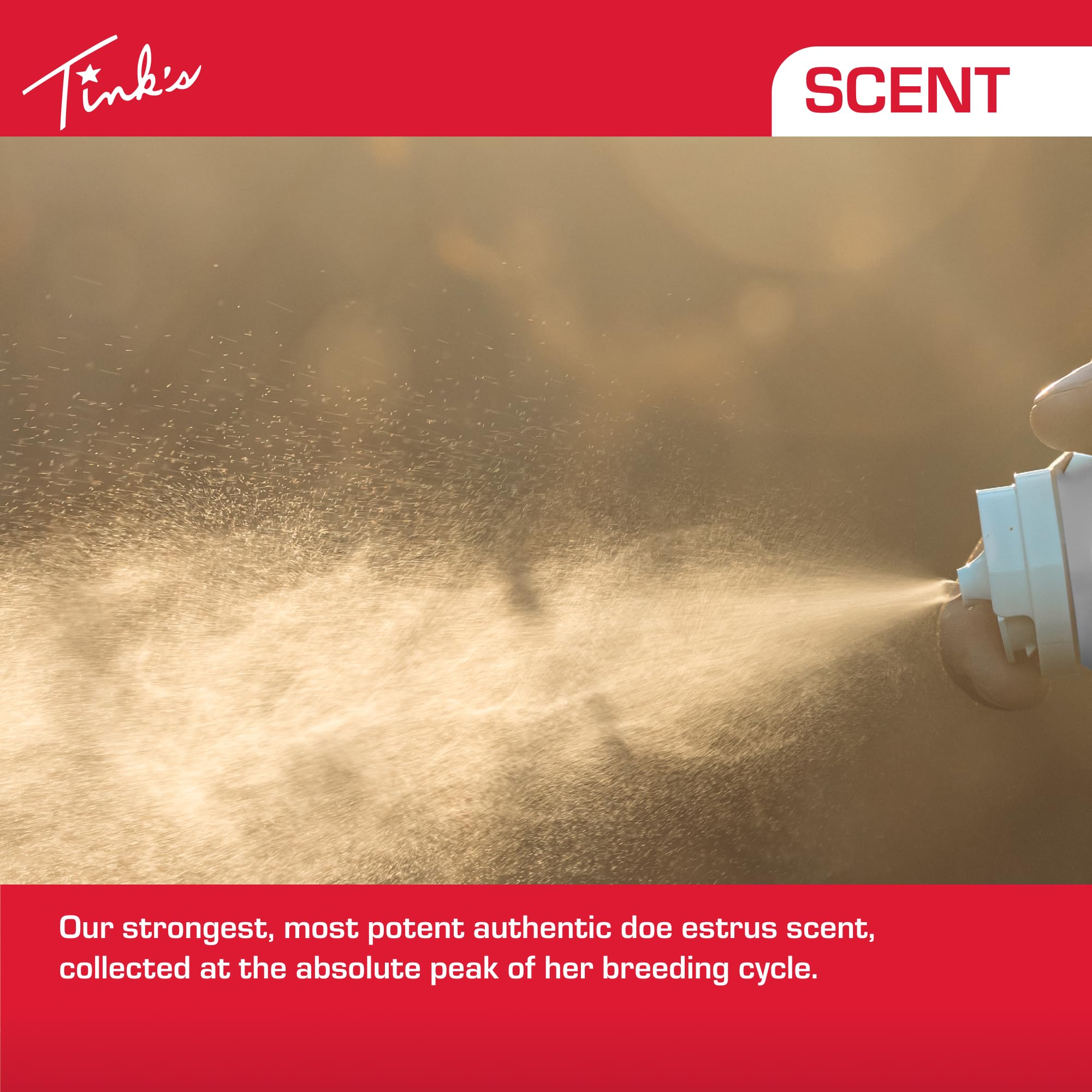 Tink's Peak30 doe estrus urine has peak estrogen levels for strong lure potential.