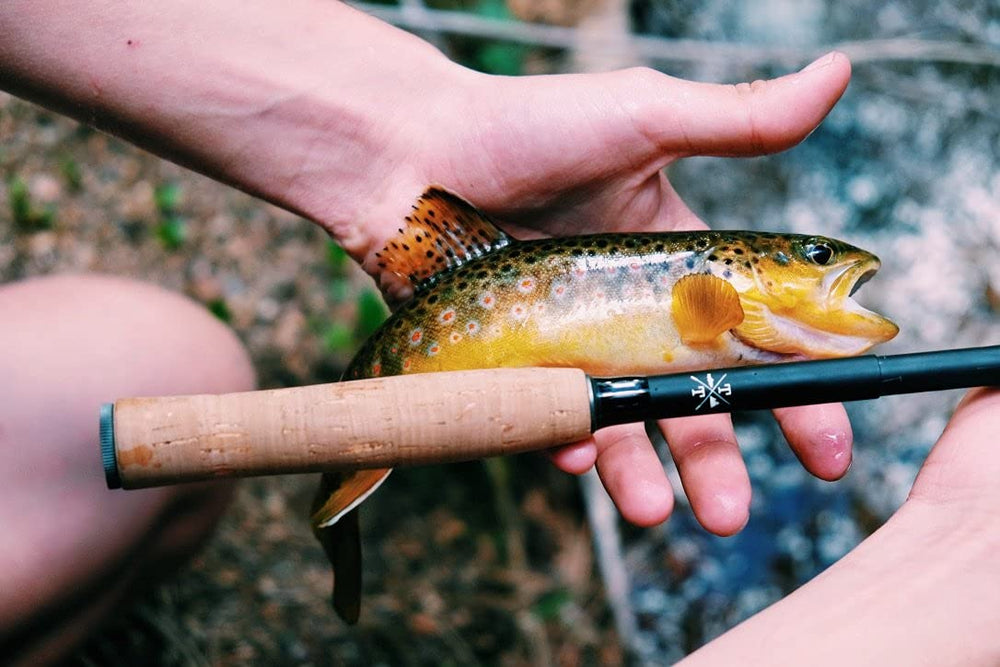 Tiny Tenkara Tiny Ten cork handle ages beautifully with use in the field.