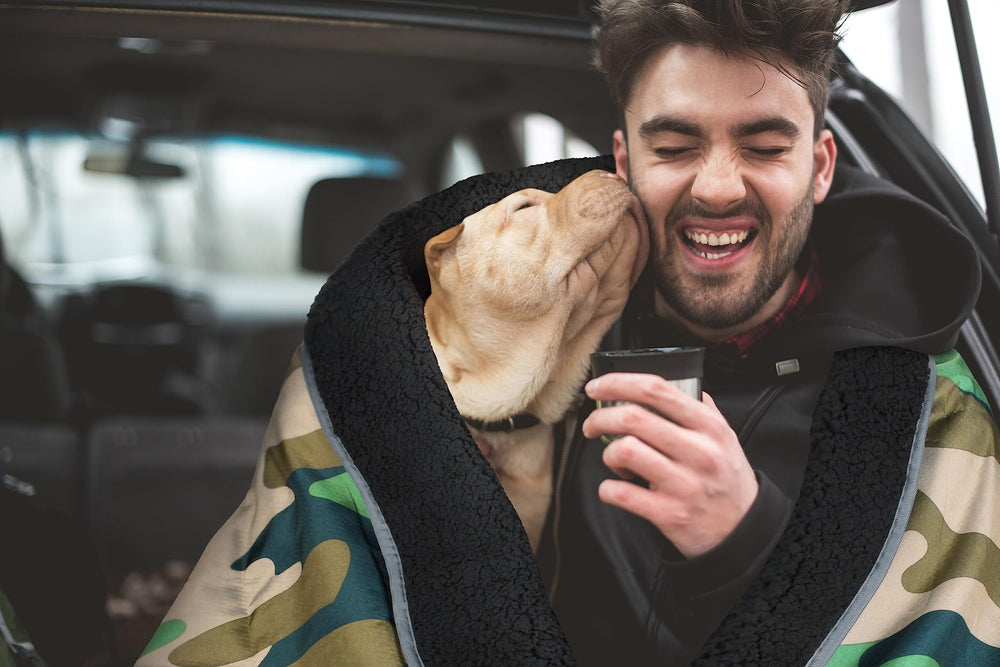 Tirrinia waterproof blanket pet comfort shows clean, warm seating for pets