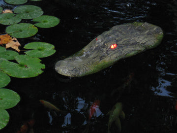 TJB-INC park and lake decoy provides humane bird deterrence