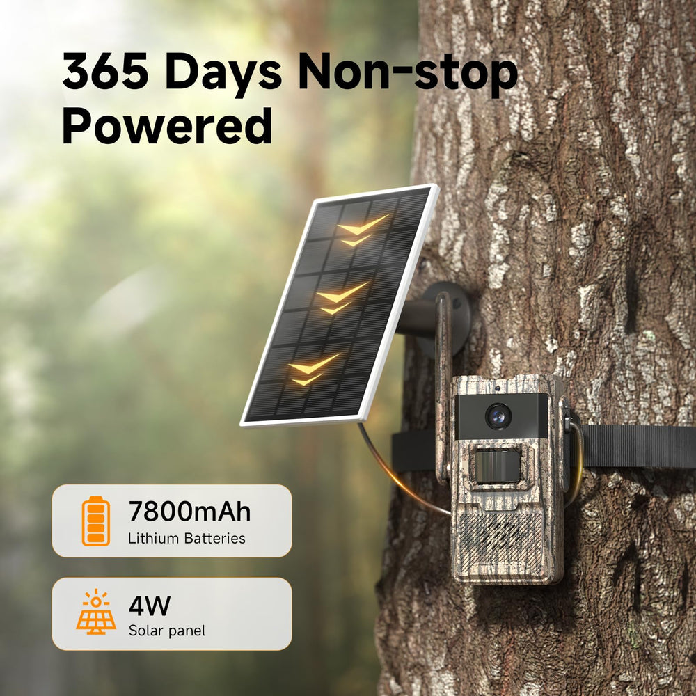 TKENPRO PIR motion alerts push timely notifications to your phone.