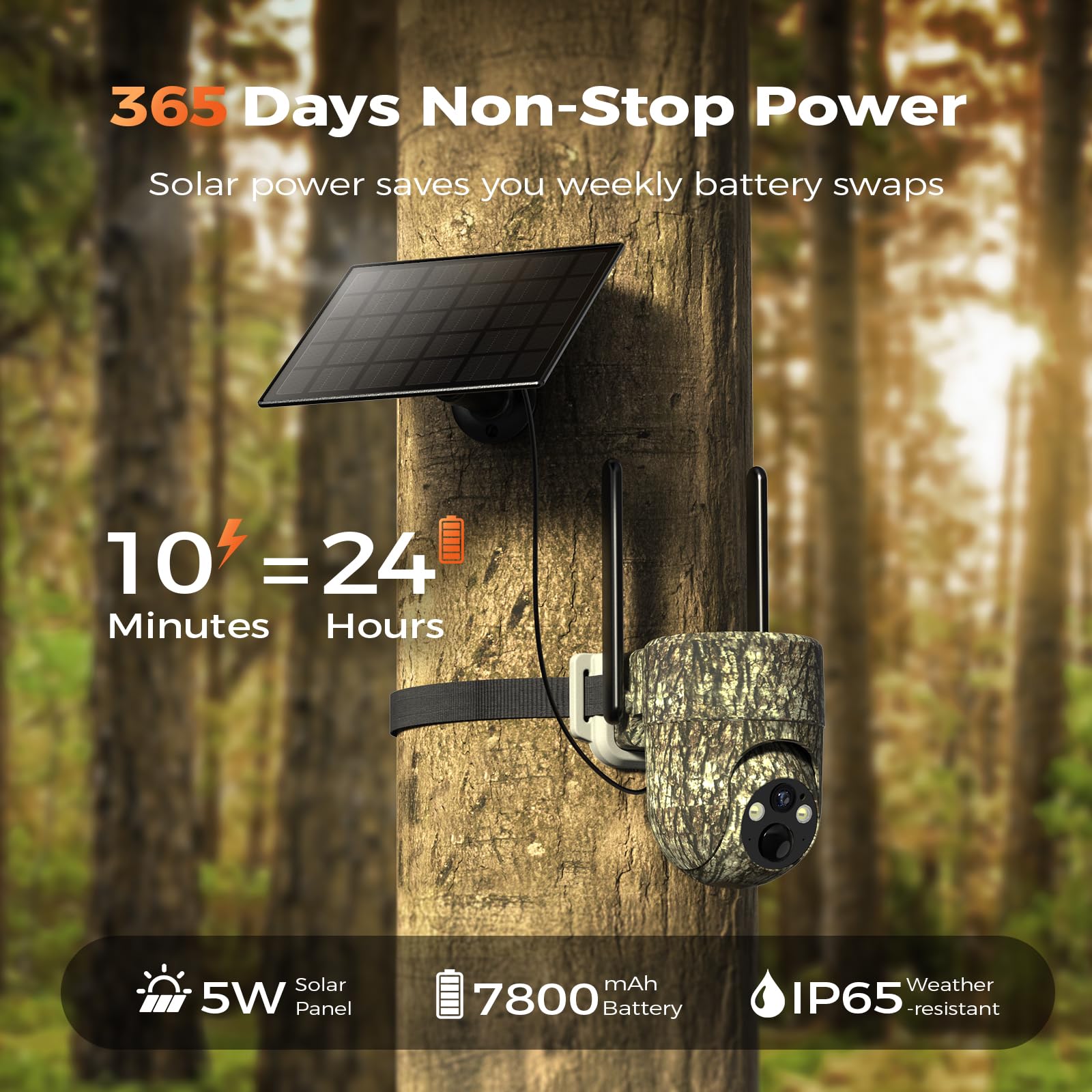 TKENPRO remote mobile access for quick wildlife checks