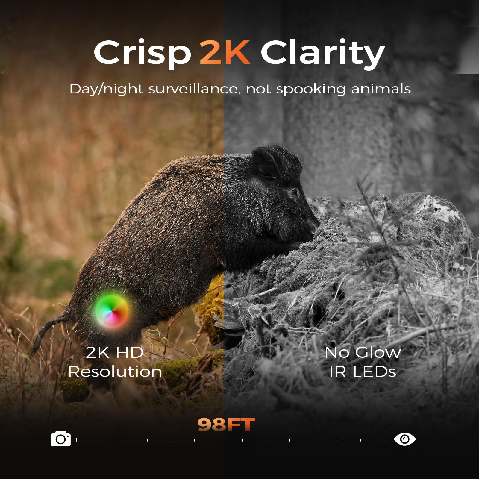 TKENPRO Solar powered IP65 camera for year round outdoor monitoring