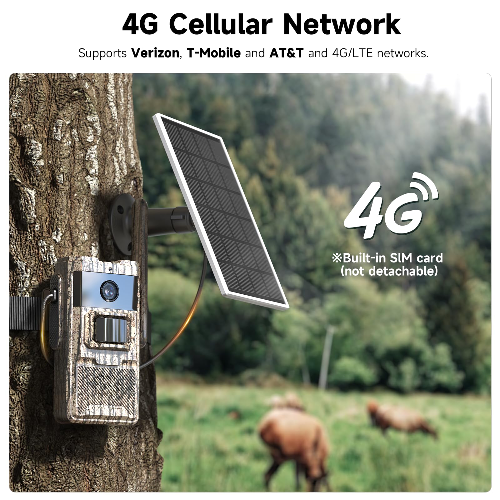 TKENPRO trail camera with built in 4G SIM offers reliable cellular data access.