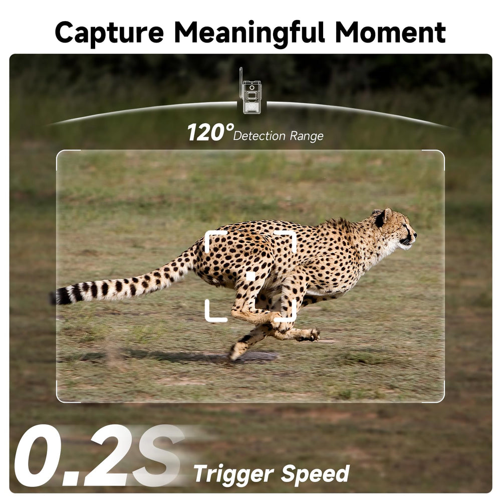TKENPRO trail camera with 940nm night vision captures covert wildlife at night.