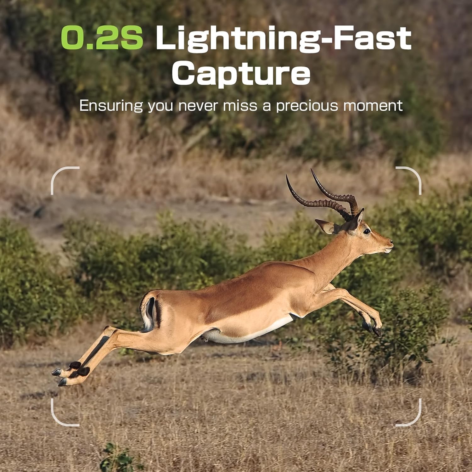 TKENPRO trail camera trigger 0.2s for precise wildlife detection