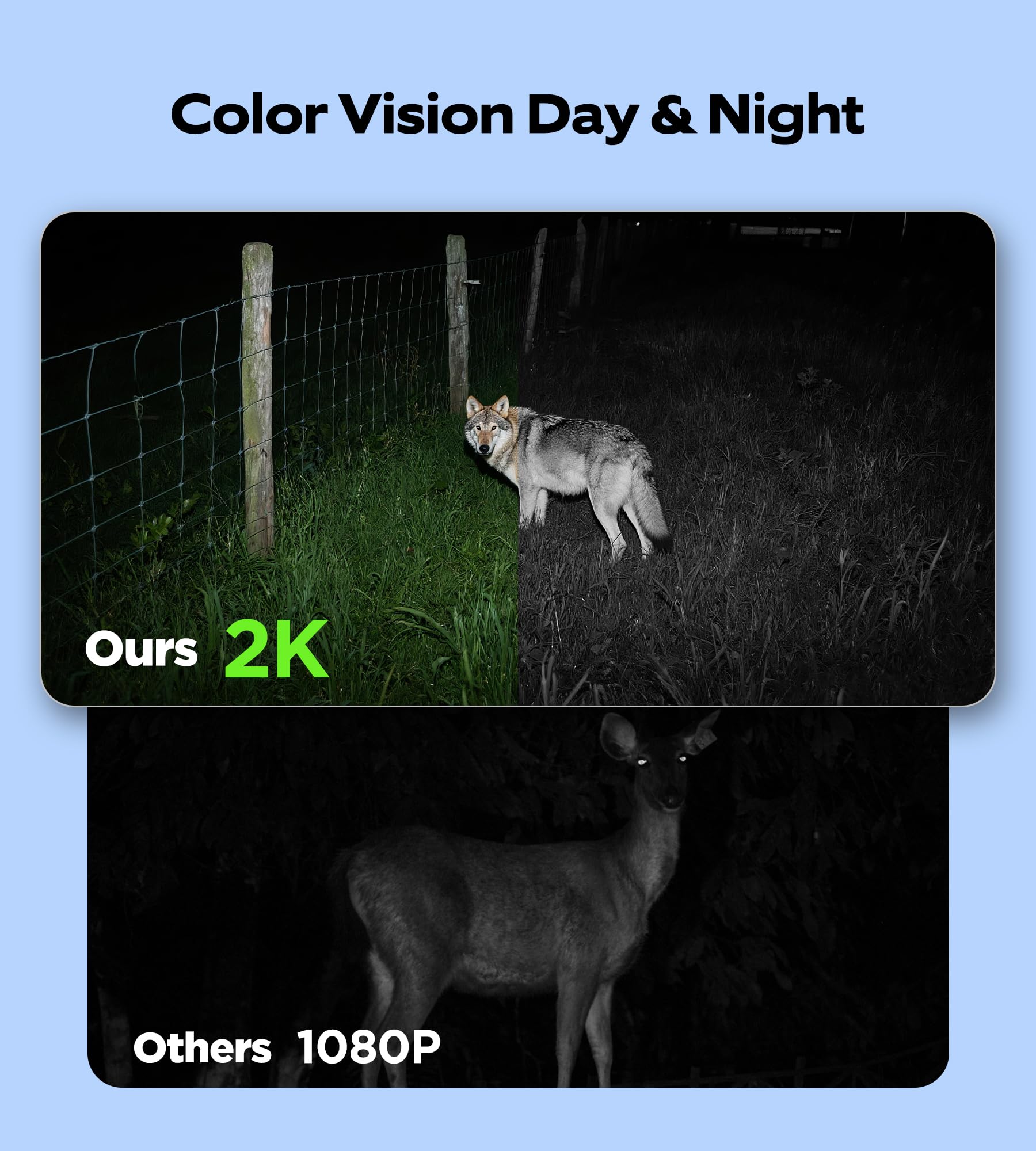 TOAIOHO 2K color night vision reveals vivid wildlife details after dark