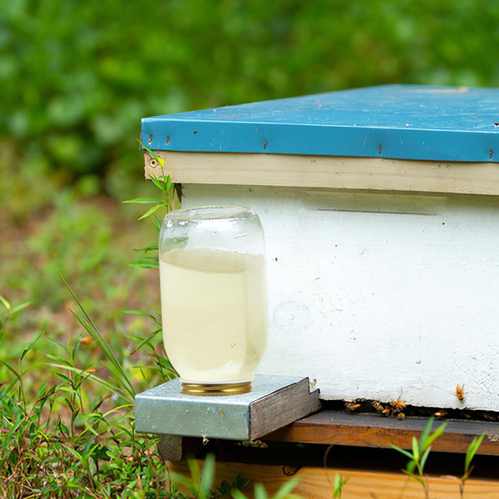 Toddmomy Bee Feeder Lids installation close-up highlights easy attachment