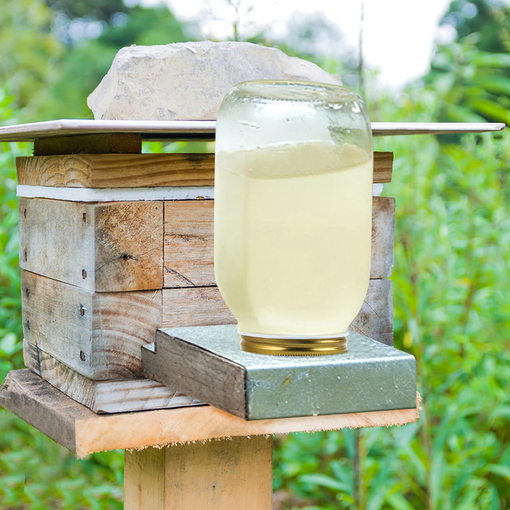 Toddmomy Bee Feeder Lids on mason jar demonstrates secure, tool-free installation