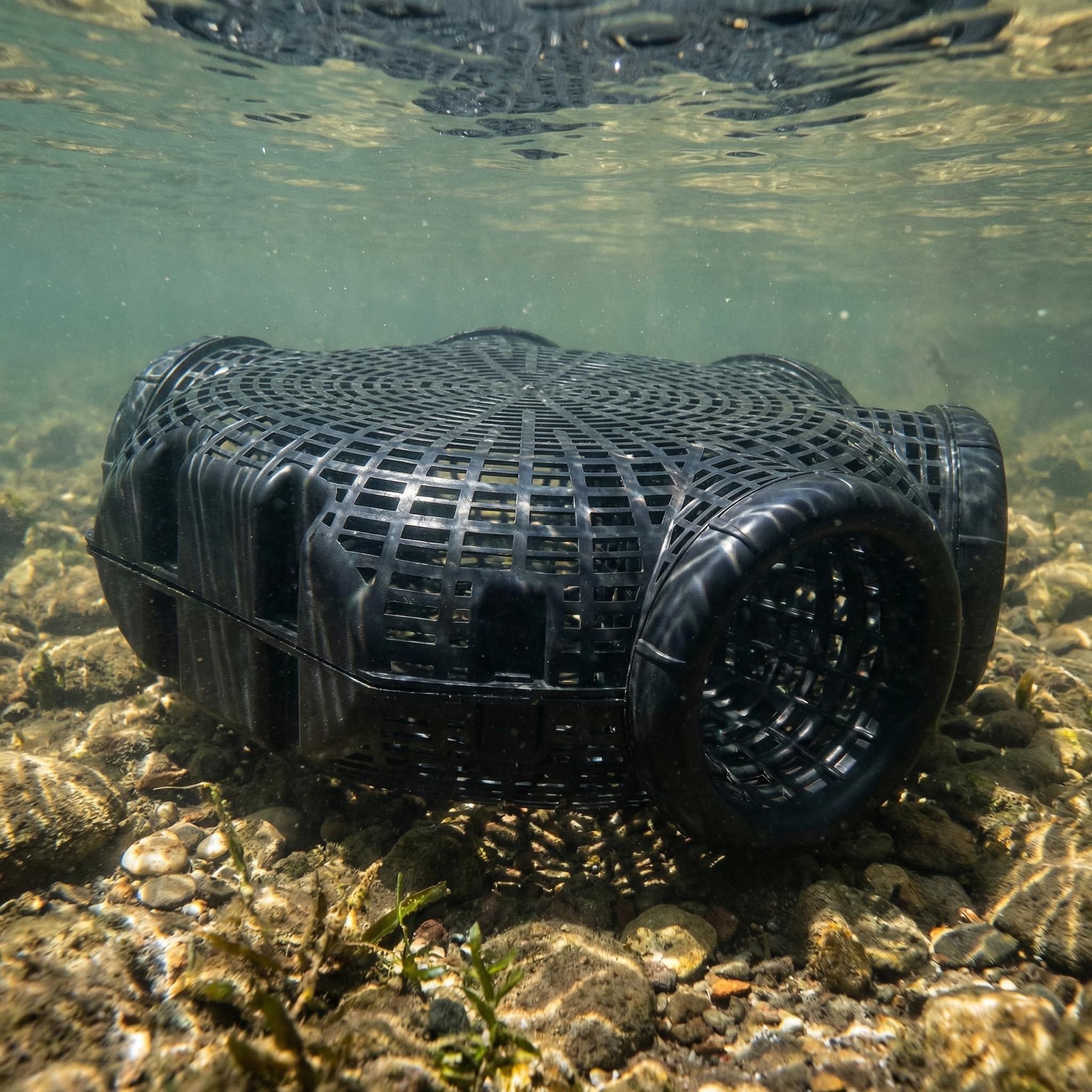 Toddmomy trap easy to submerge for active catching