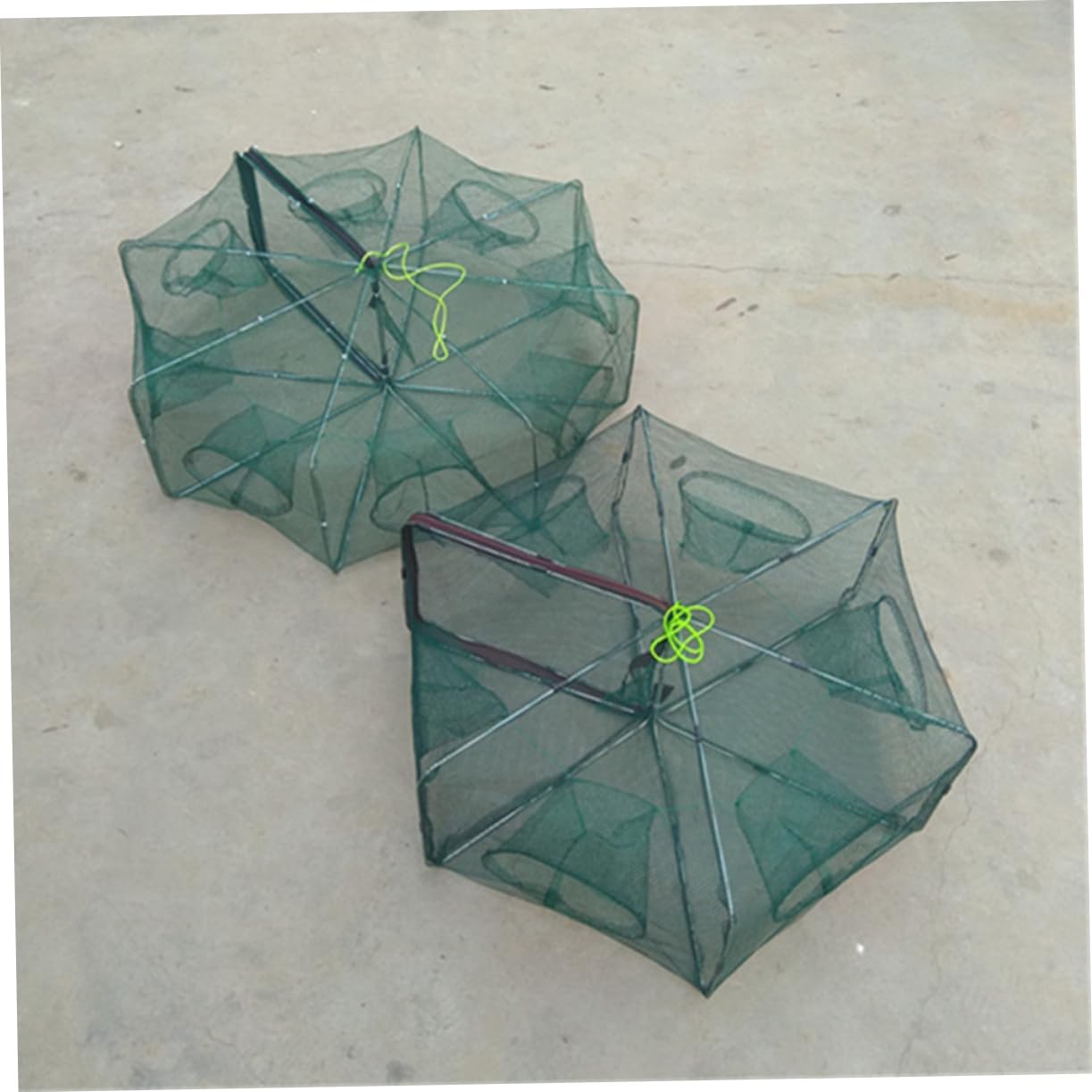 TOGEVAL 6-holes minnow and shrimp fishing net captures small bait efficiently