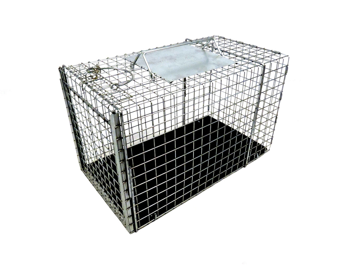 Tomahawk Live Trap 306NC transfer cage front view with easy release door for safe handling