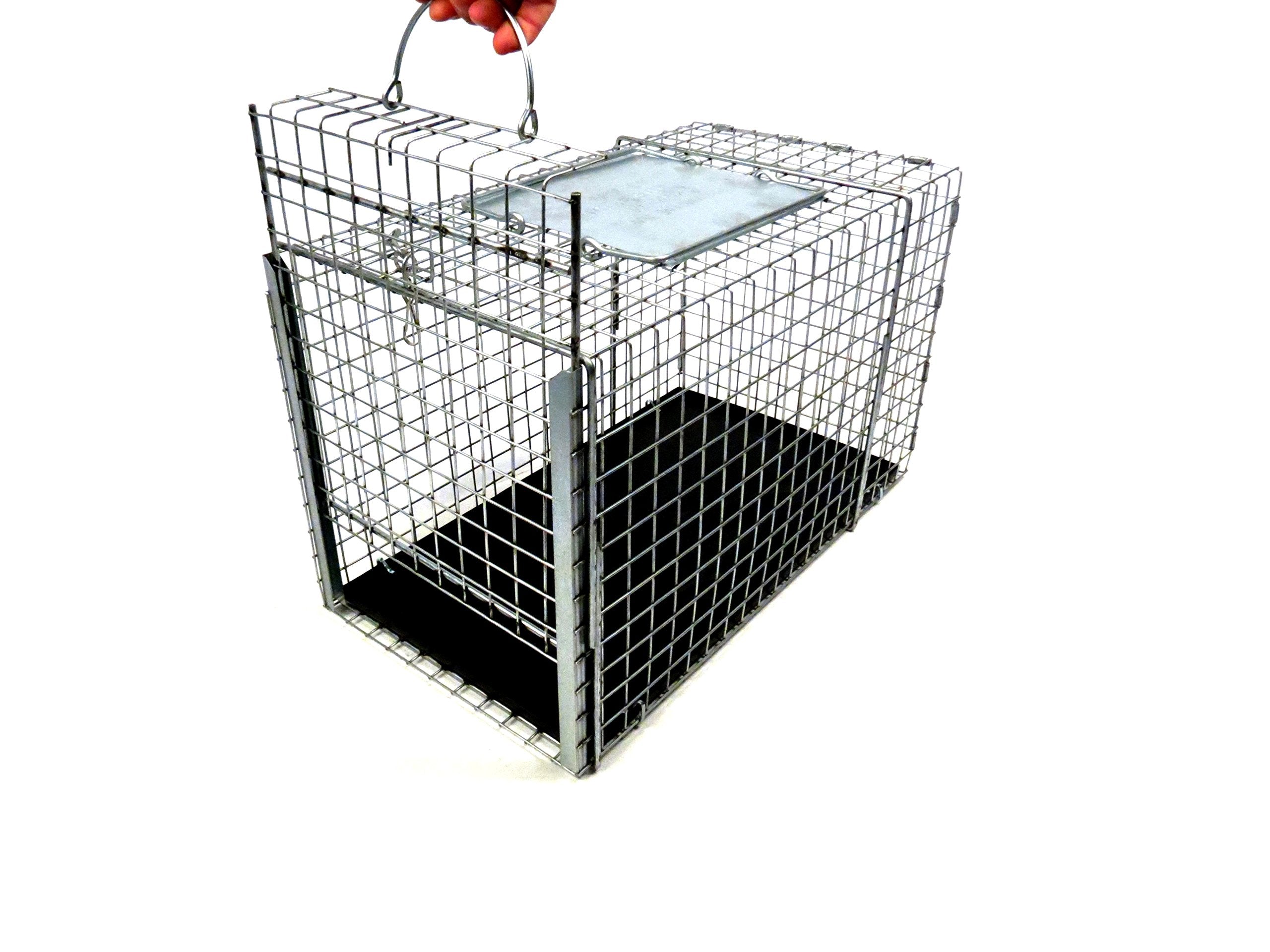 Tomahawk Live Trap 306NC transfer cage top view highlighting the easy-access door