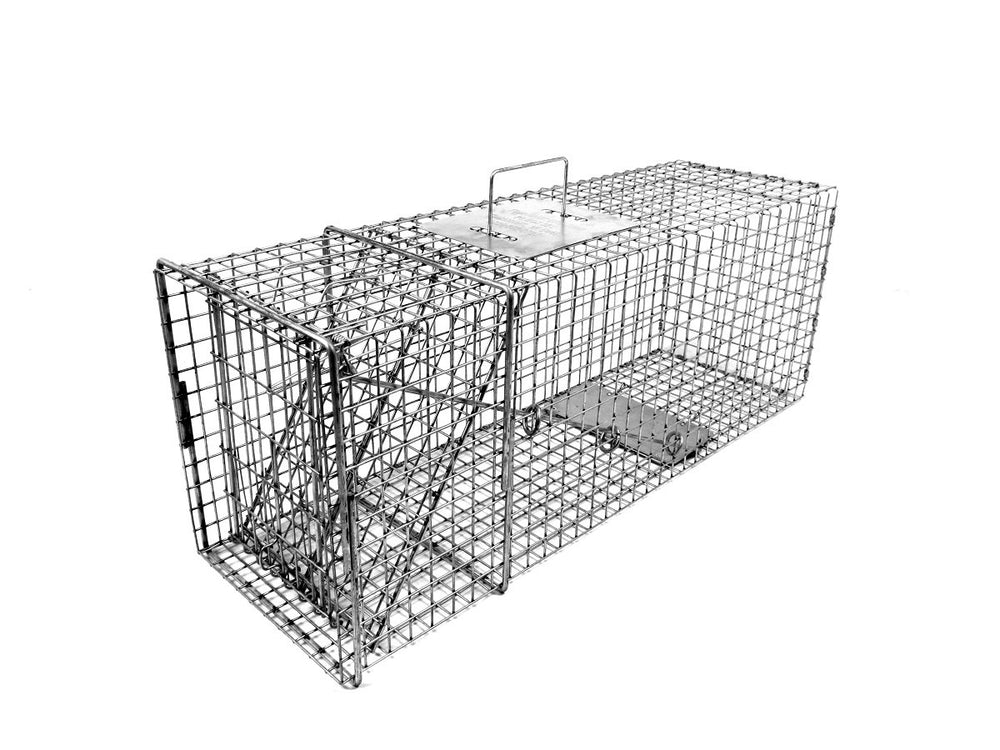 Tomahawk Live Trap Model 108.1 trap door image for raccoon control.