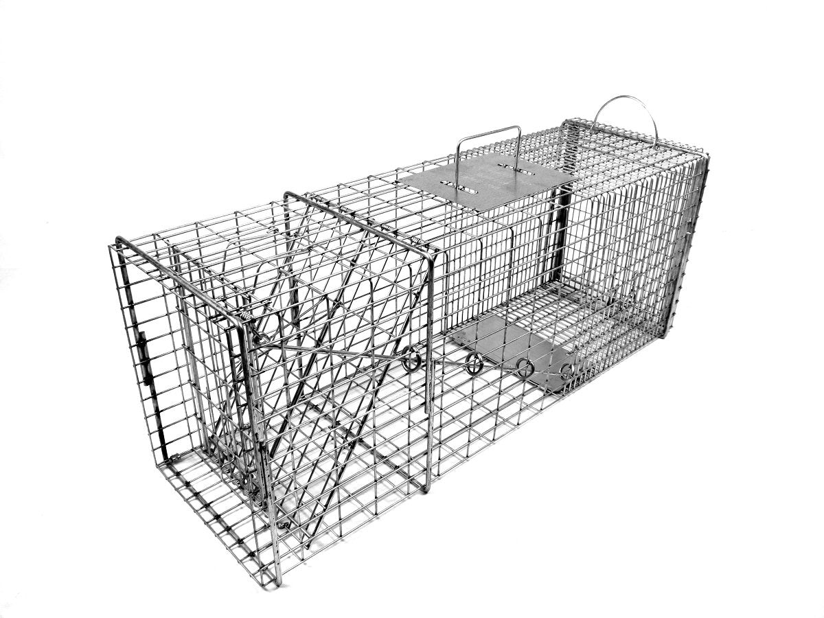 Tomahawk Model 608 trap front view with sturdy galvanized mesh for raccoons