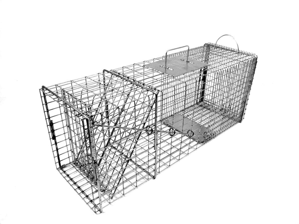 Tomahawk Model 608 trap front view with sturdy galvanized mesh for raccoons