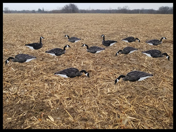 Top Down Decoys CV246-12 feeder head offers dynamic feeding angles.