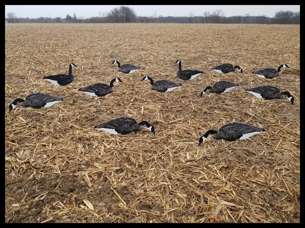 Top Down Decoys CV246-12 feeder head offers dynamic feeding angles.