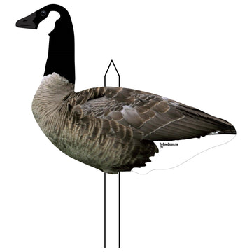 Top Down Decoys CV246-12 front view shows lifelike Canada Goose silhouette for convincing setups.