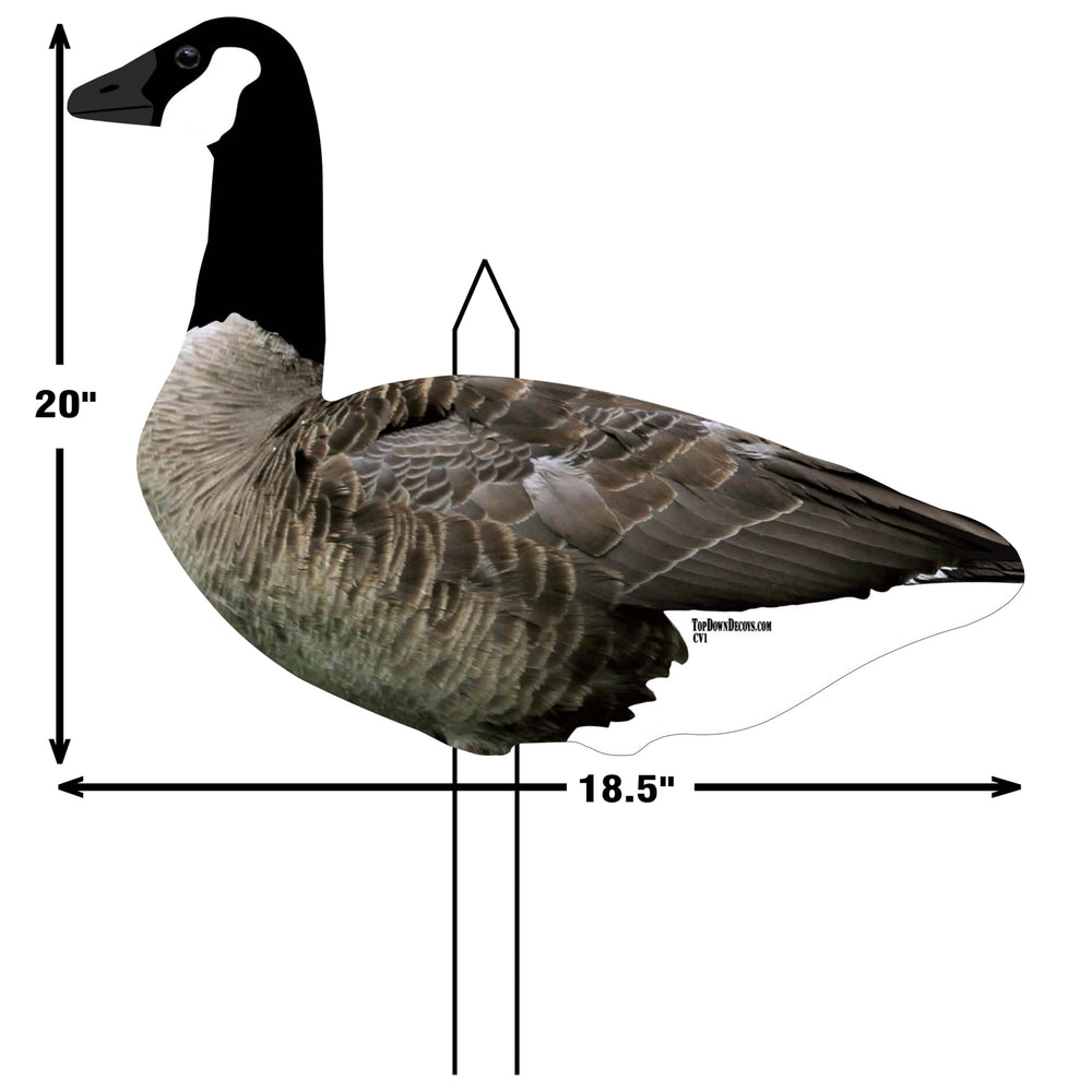 Top Down Decoys CV246-12 matte finish reduces glare on bright days.