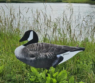 Top Down Decoys CV246-12 printed graphics showcase true-to-life color fidelity.