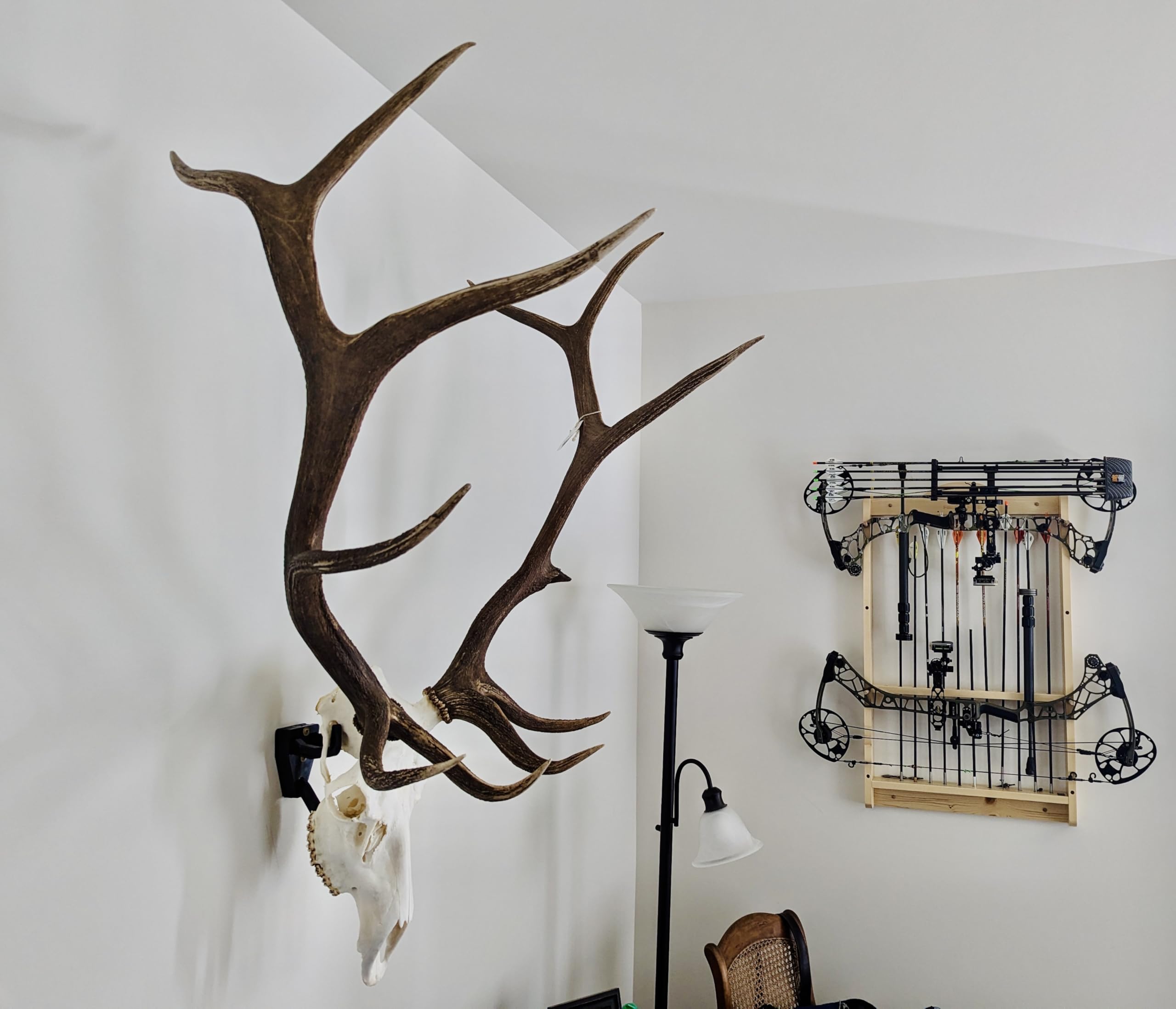 Top Rack deer trophy hanger displays a compact, sturdy mount for wall-ready trophies.