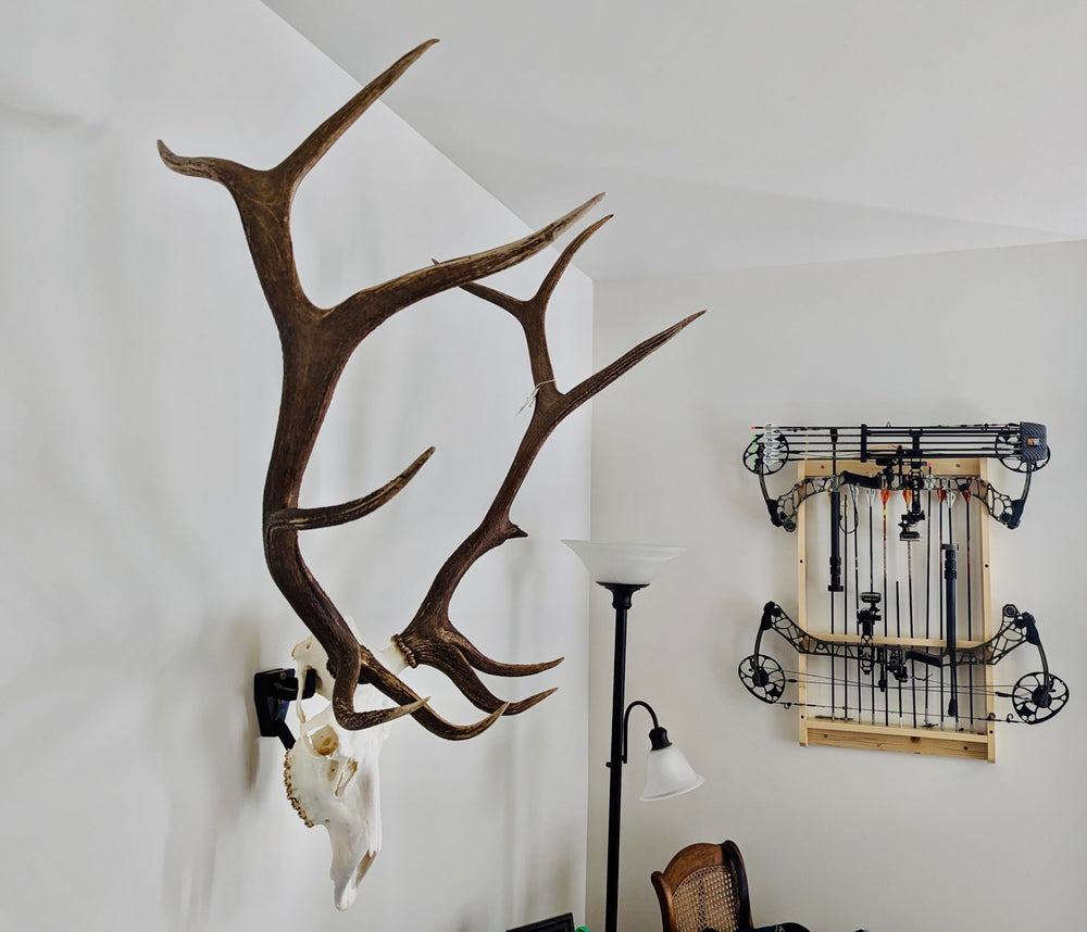 Top Rack deer trophy hanger displays a compact, sturdy mount for wall-ready trophies.