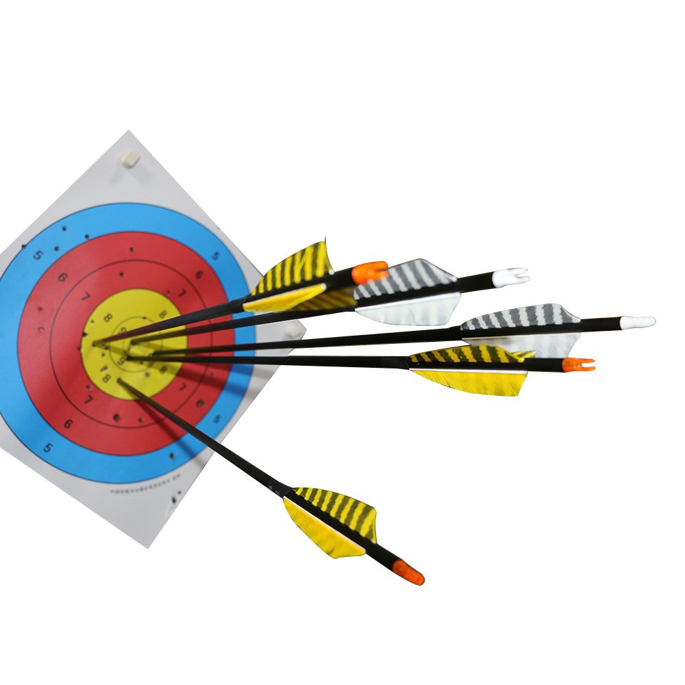 TOPARCHERY 6-pack arrow set provides value for practice and hunting